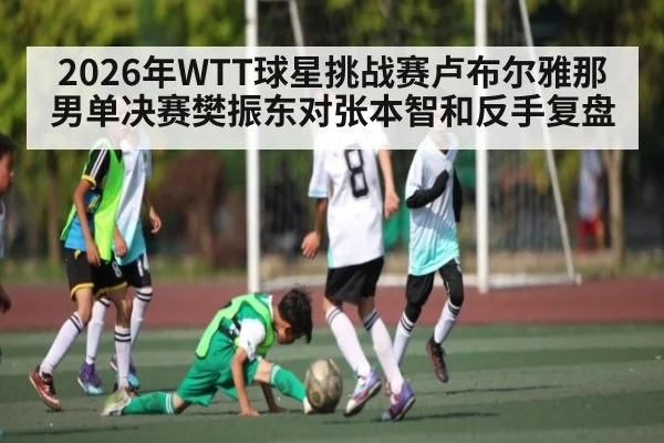 2026年WTT球星挑战赛卢布尔雅那男单决赛樊振东对张本智和反手复盘
